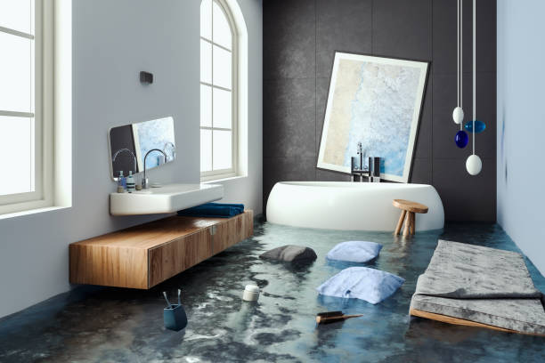 Best Water damage restoration near me  in Lake Holiday, IN