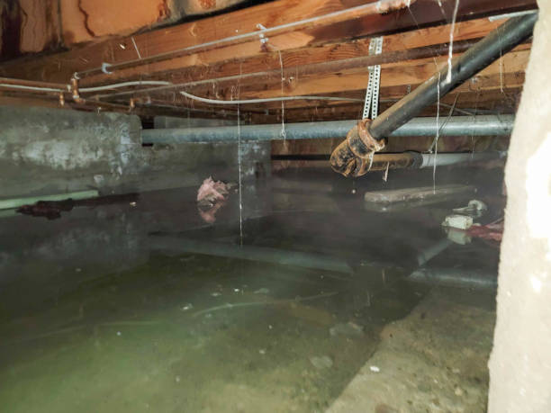 Best Emergency water damage restoration  in Lake Holiday, IN