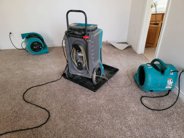 Best Water damage restoration near me  in Lake Holiday, IN