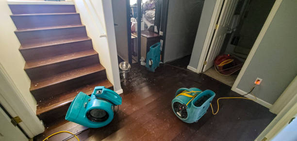 Best Local water damage restoration  in Lake Holiday, IN