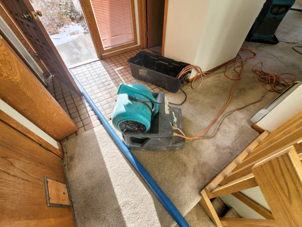 Best Water damage restoration near me  in Lake Holiday, IN