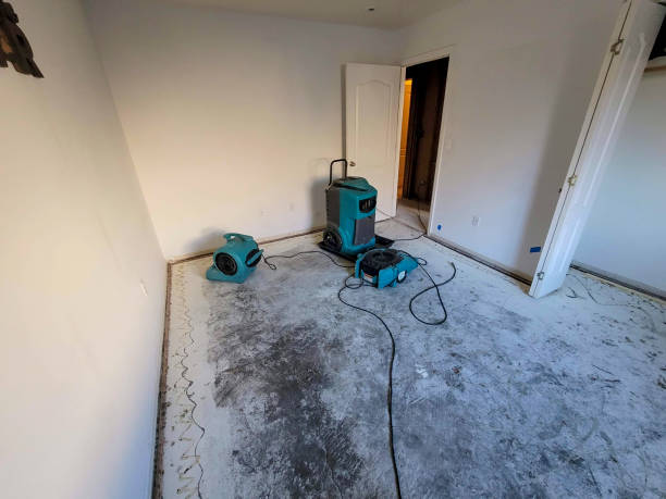 Best Commercial water damage restoration  in Lake Holiday, IN