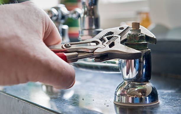 Best Water damage cleanup near me  in Lake Holiday, IN