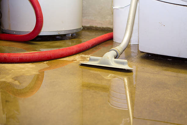  Lake Holiday, IN Water damage restoration Pros