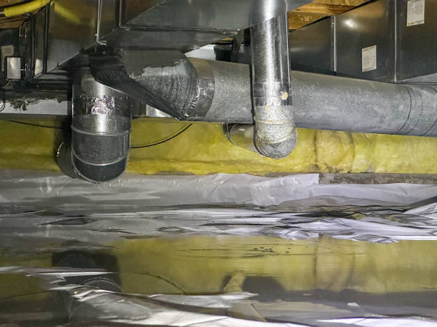 Best Flood restoration services  in Lake Holiday, IN