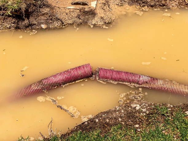 Best Water damage cleanup near me  in Lake Holiday, IN