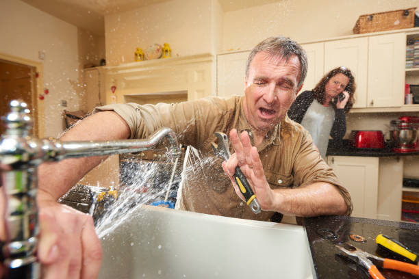 Best Water damage contractors near me  in Lake Holiday, IN